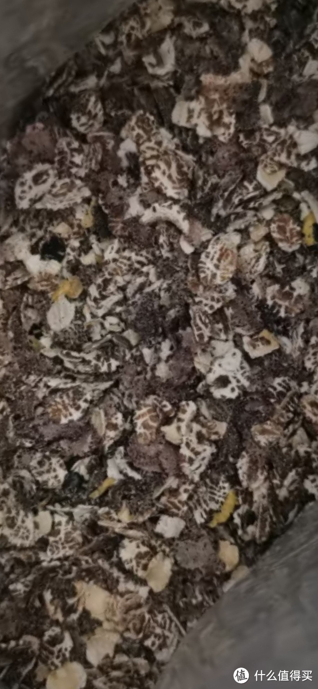 助力秋味餐厅之桂格(QUAKER)轻畅无米燕麦粥420克(35g*12袋)玉米鸡肉味 3分钟即食
