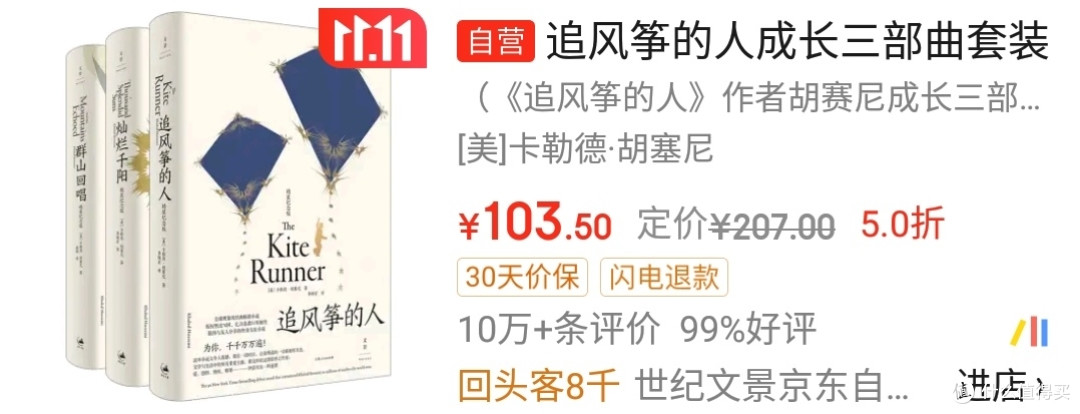 双十一小说推荐:让你沉浸在文字的海洋中