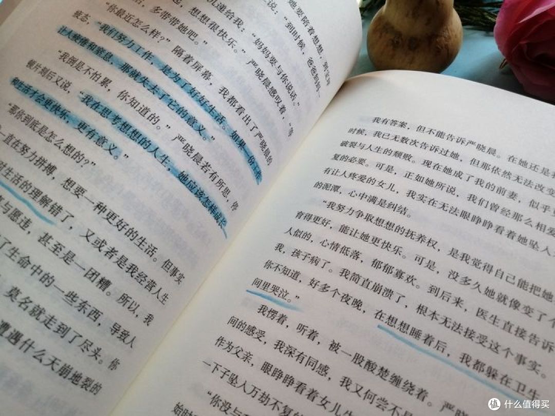 小学生应该阅读什么书籍?