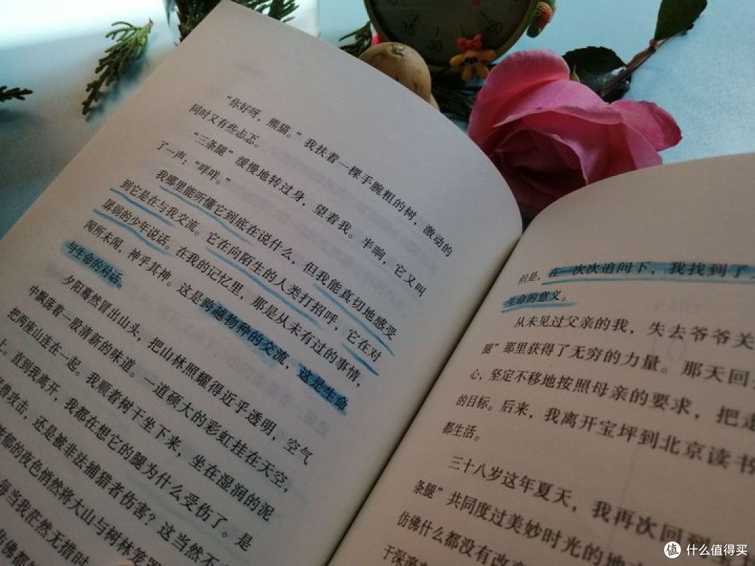 小学生应该阅读什么书籍?