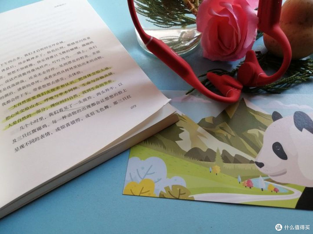 小学生应该阅读什么书籍?