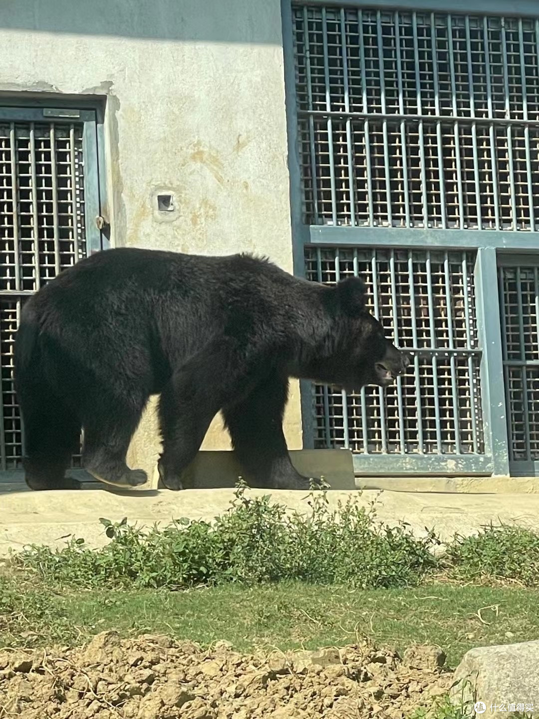 动物园探秘:一场与野生动物的亲密接触