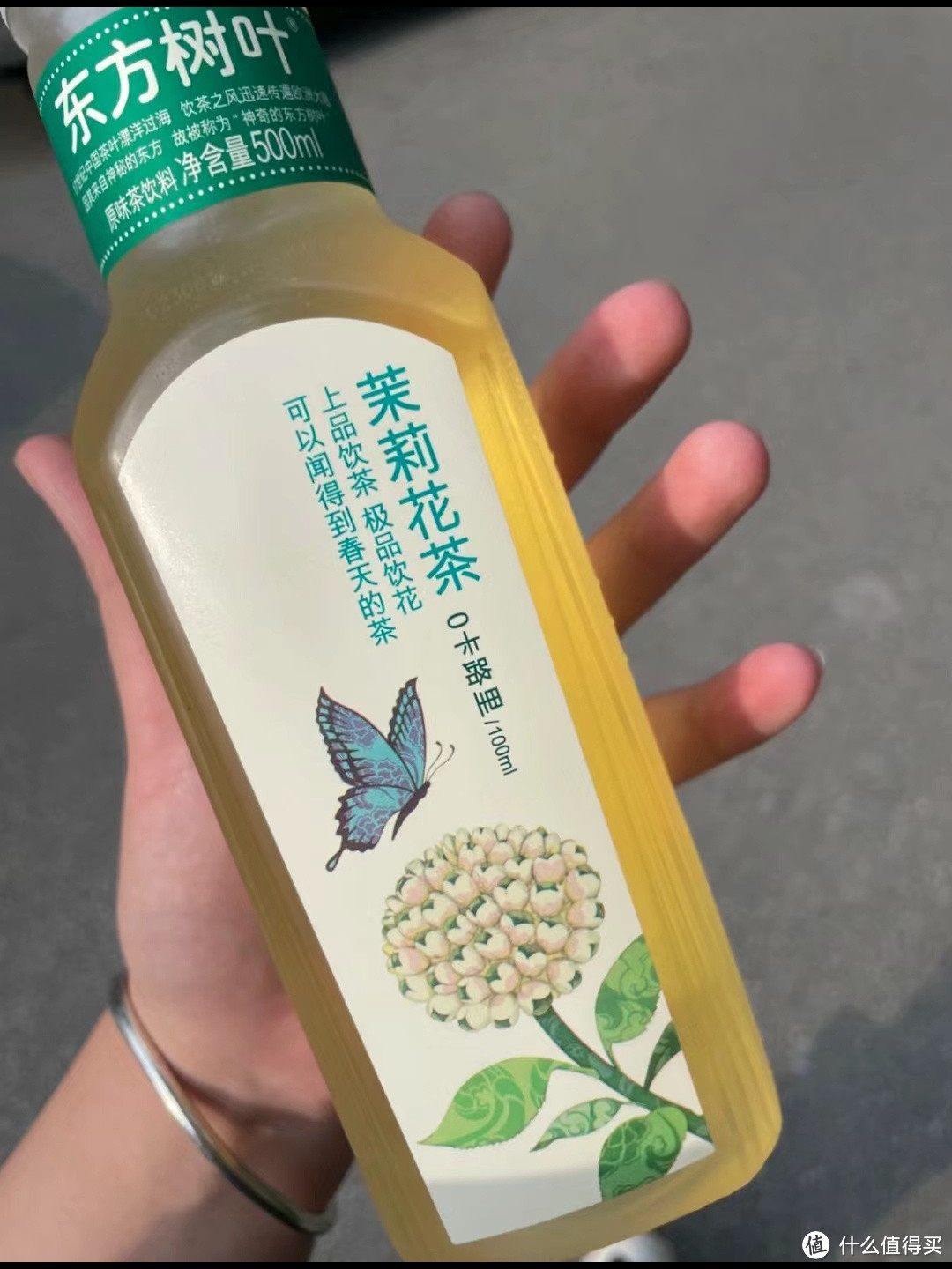 秋季饮品，最爱的东方树叶茉莉花茶