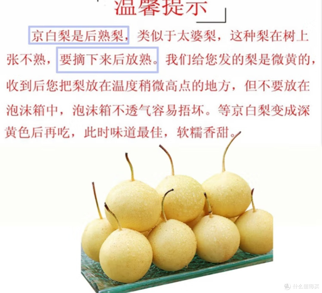秋天到了，吃梨了——京白梨