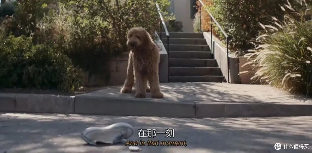 全网好评,女神再出高分美剧