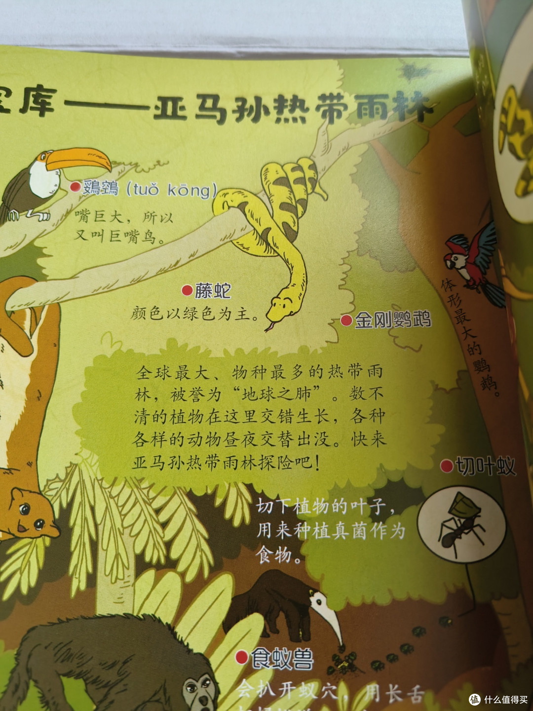 标题说的是六岁一下孩子阅读,但是六岁一下孩子真的认字量不够啊
