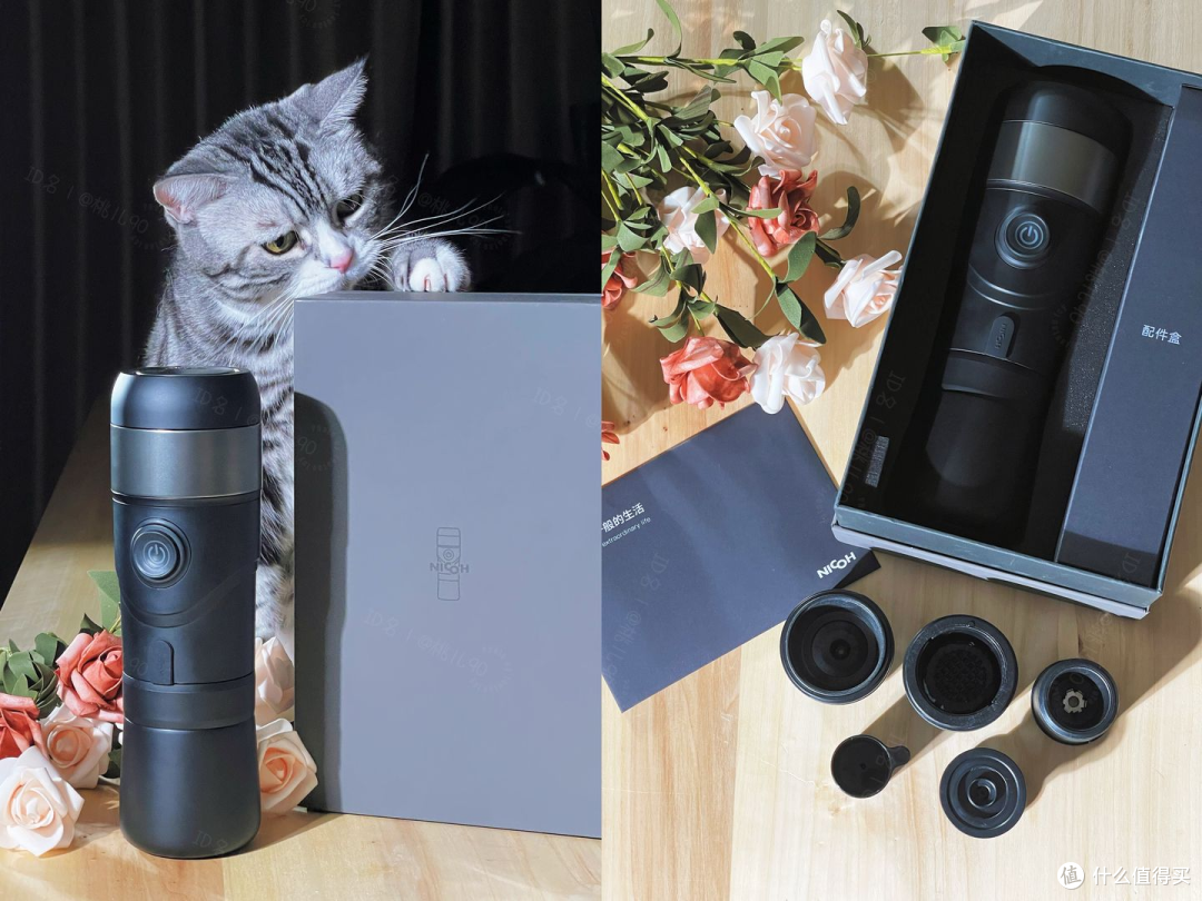 猫猫盖爪认证，高级感满满