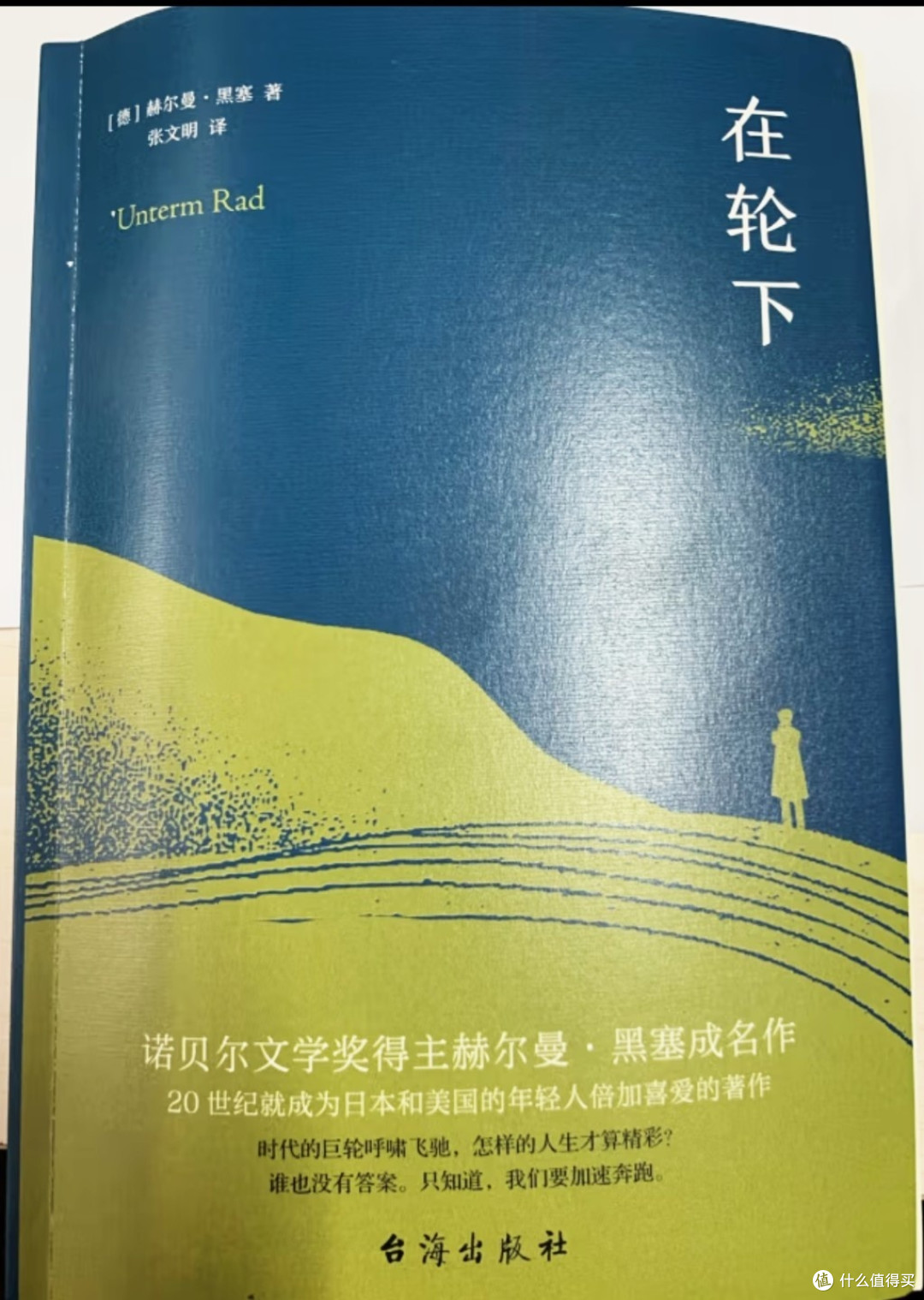 我们仿佛是一粒尘子,在社会的巨大车轮滚滚拼尽全力然后转入轮下,要么被迫努力奔跑,要么被巨轮碾碎。
