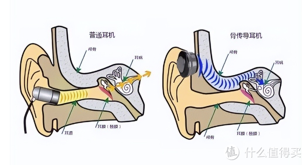 不入耳、更自由：创新骨传导蓝牙耳机的奇妙体验