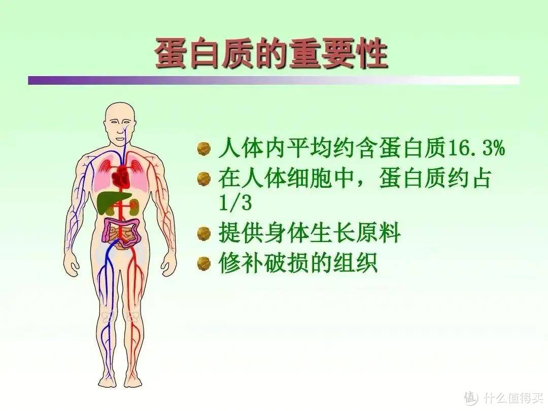 防慢病攻略：调节身体代谢，重塑健康之路 心三源健康