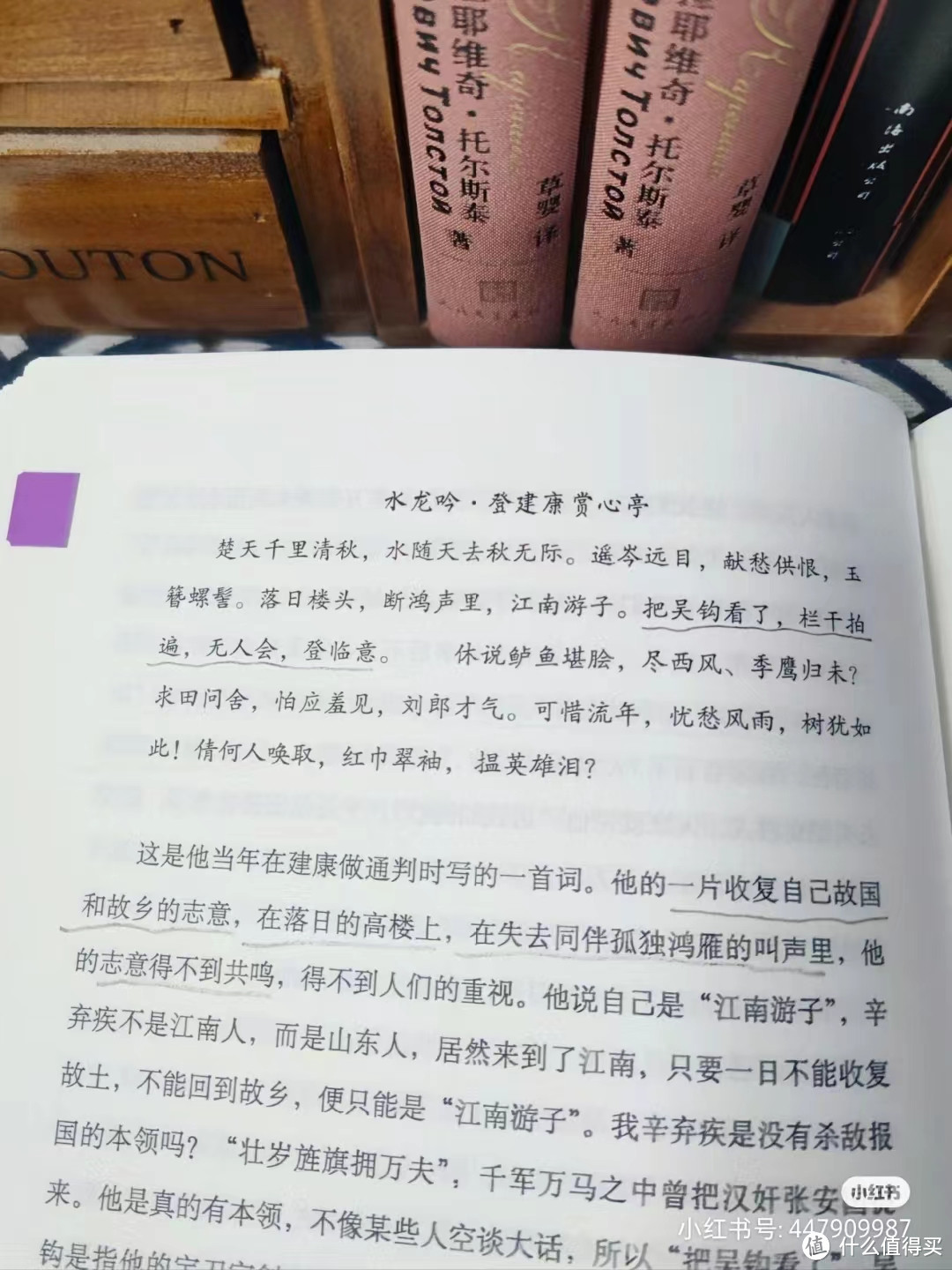 想让孩子爱上诗词，这本书绝对非读不可——她站在那里，就是对古诗词最好的注解