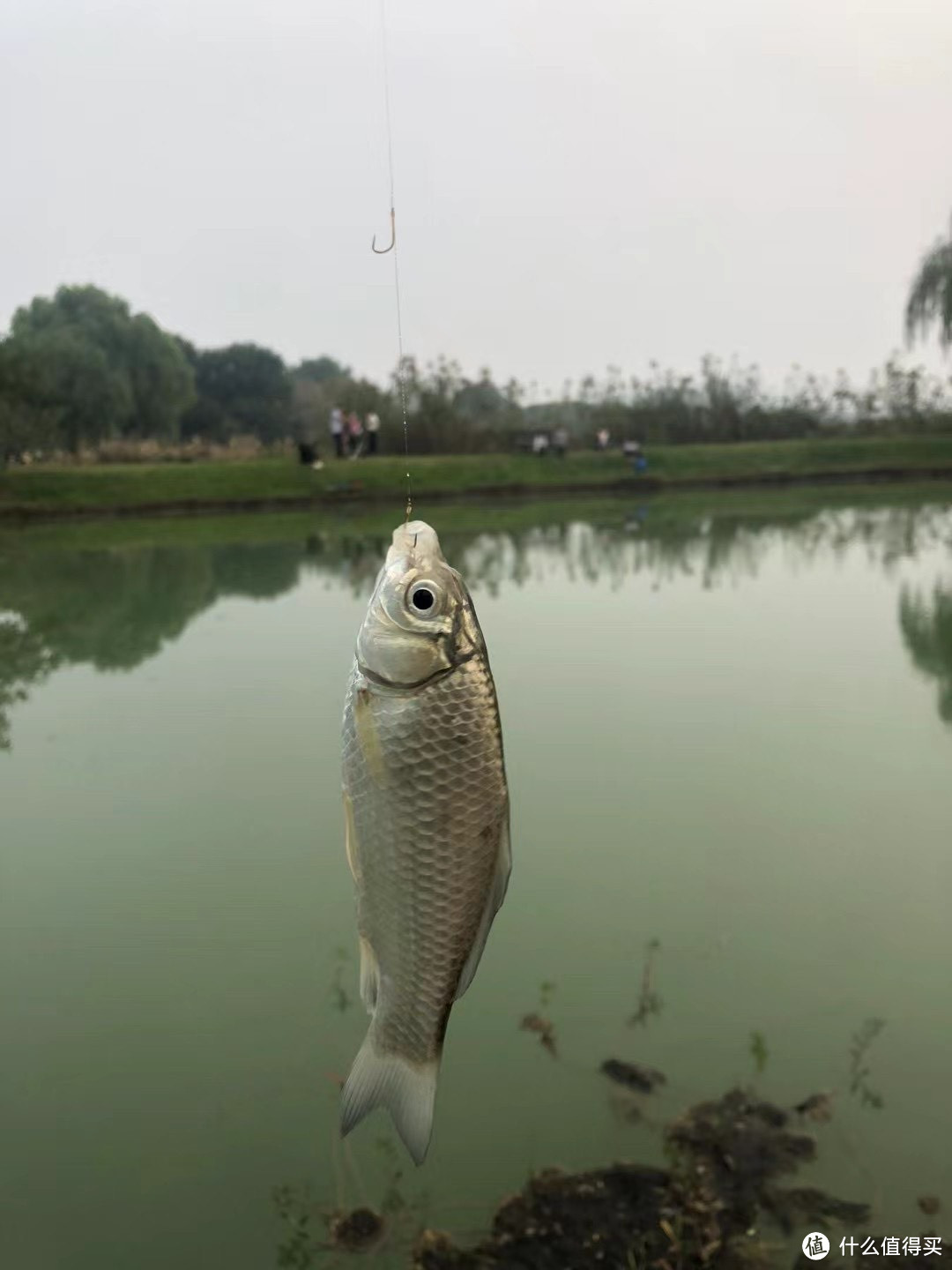 来一次说走就走的钓鱼之旅吧