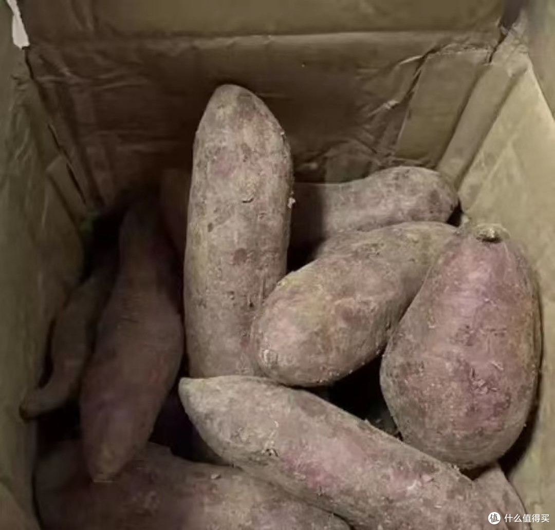 烤紫薯你吃过吗?