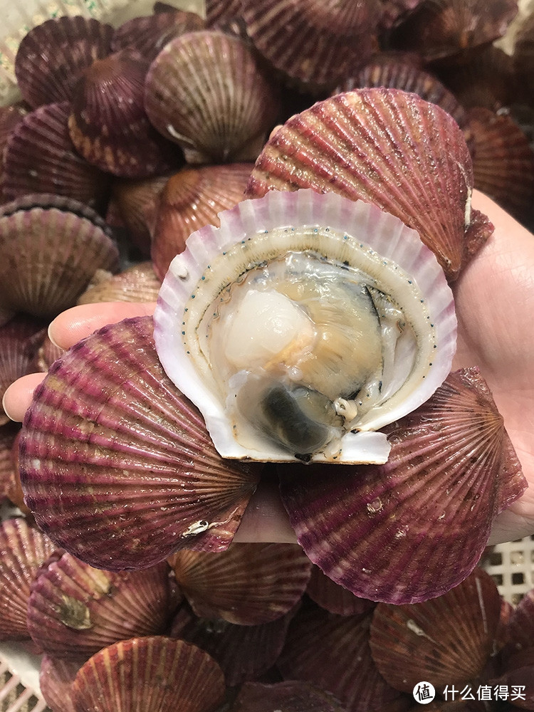 海鲜选购小技巧分享：打造美味海鲜大餐的秘诀