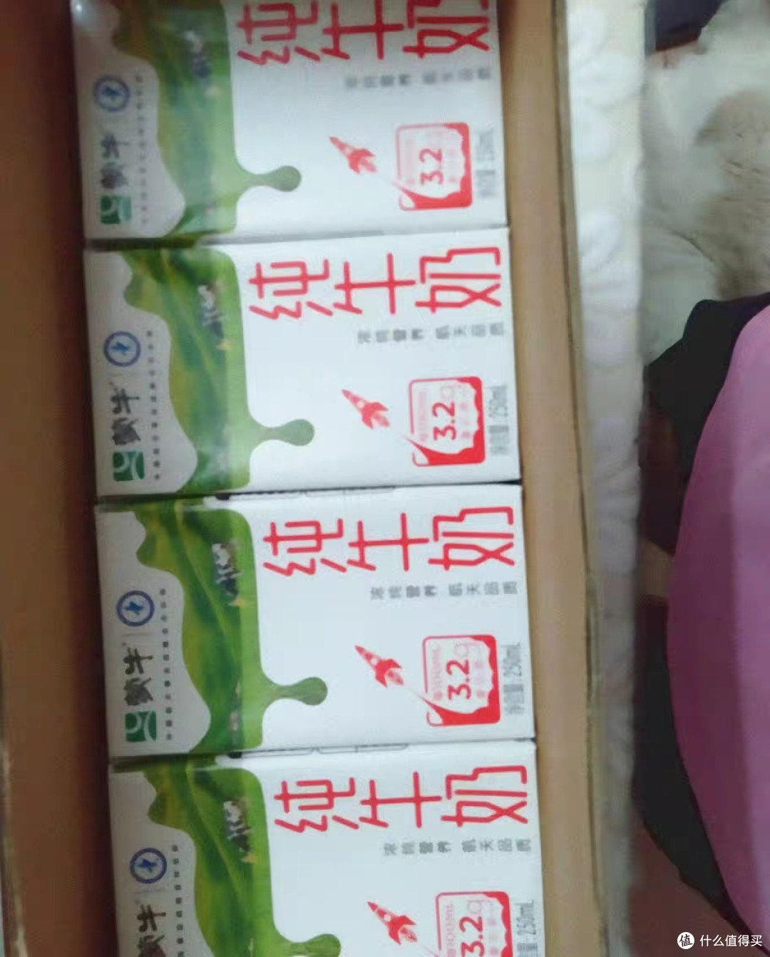 如何挑选优质的牛奶?