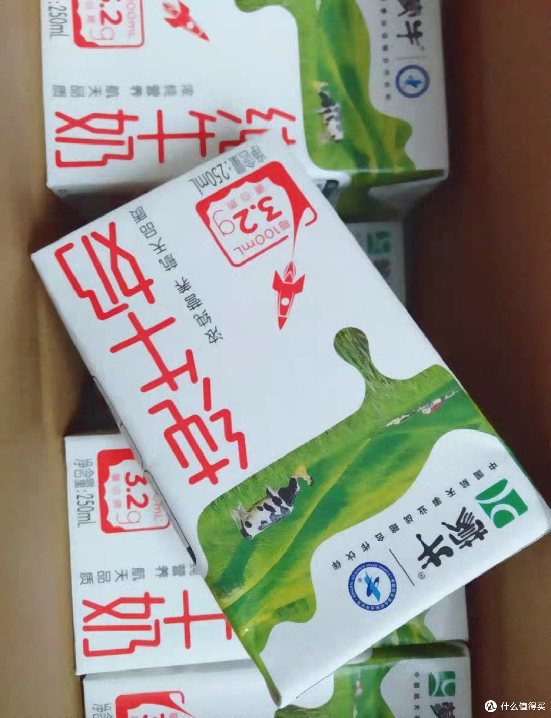 如何挑选优质的牛奶?