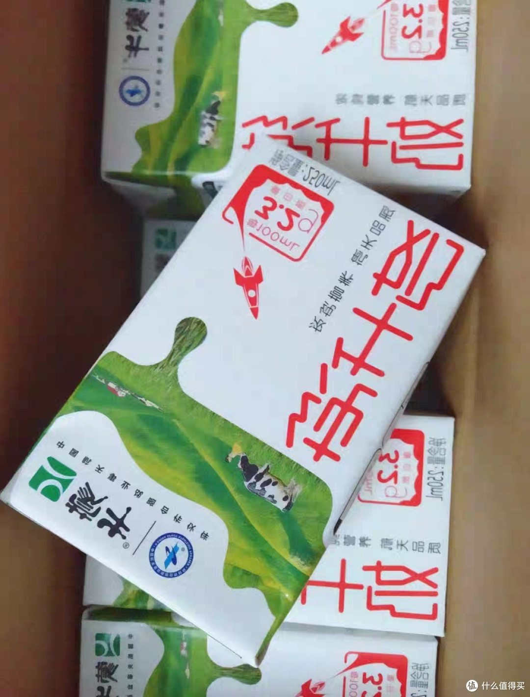 牛奶:营养丰富的饮品