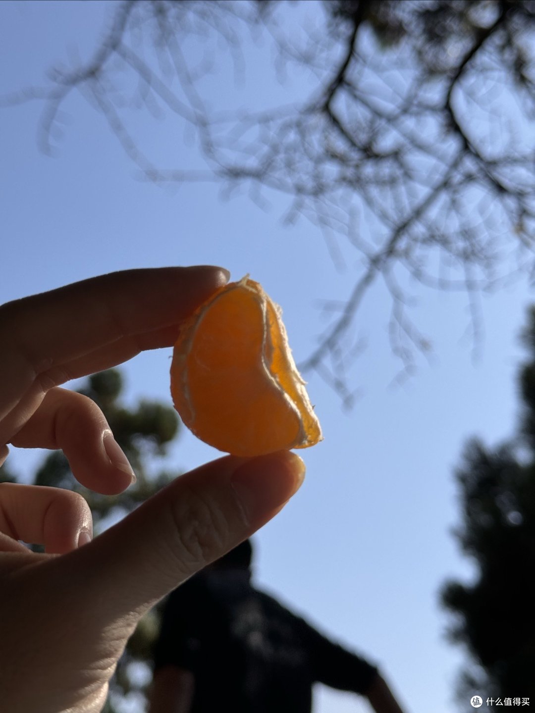 走啊,去看风景,看王维诗里的云台山
