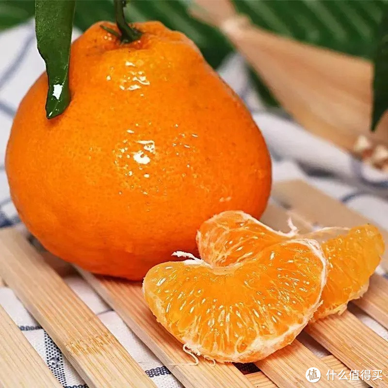 柑橘的种类