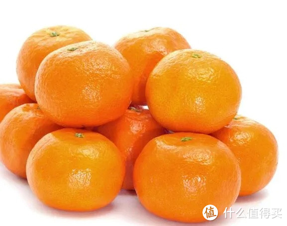 柑橘的种类