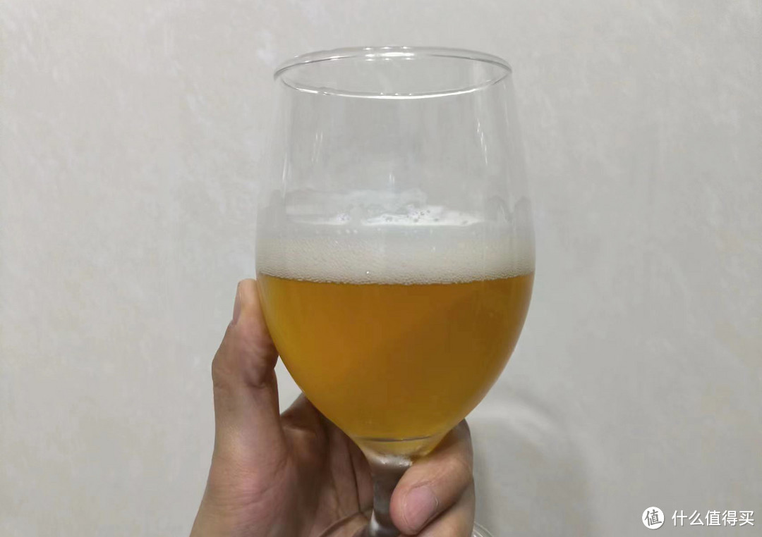 淡色艾尔啤酒IPA，18元12罐，搭配着烤肉吃，值麻了！