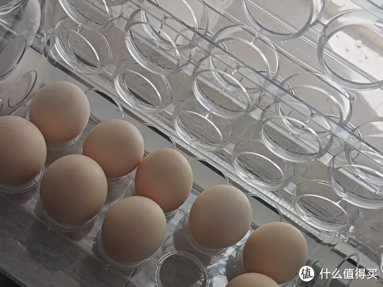 简单易用的鸡蛋收纳盒，让厨房更整洁