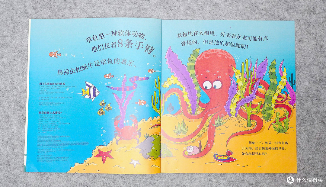 脑洞大开的《动物妙想国》，推荐给喜欢动物的小朋友们