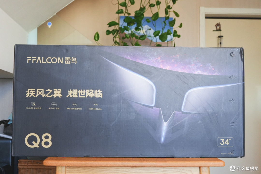 仅为娱乐而生,首发尝鲜,雷鸟竟然出显示器了