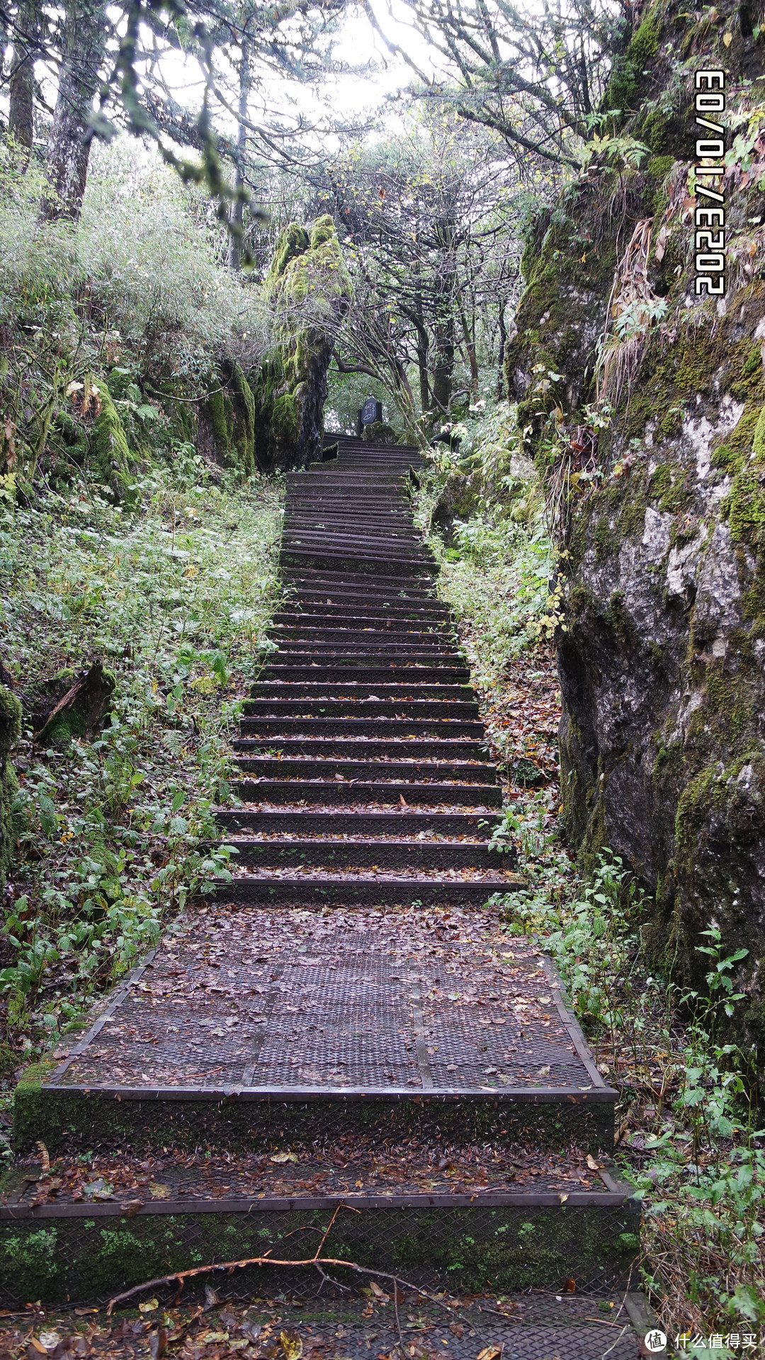 山间步道