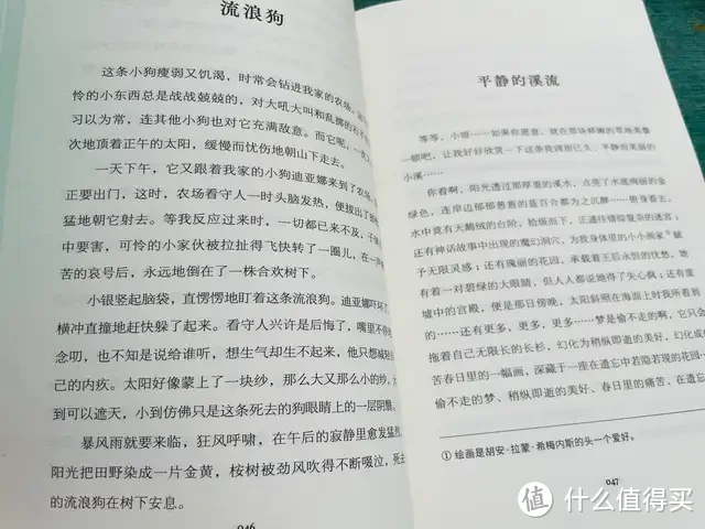 还好有这样的文字，让我知道在这世上不孤单