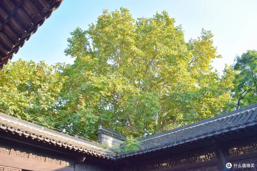 避开95%游客玩南京，我找到了它最老底子的一面