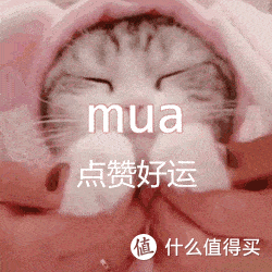 美短虎斑挑食偏瘦该怎么办？2023高品质幼猫罐头推荐！