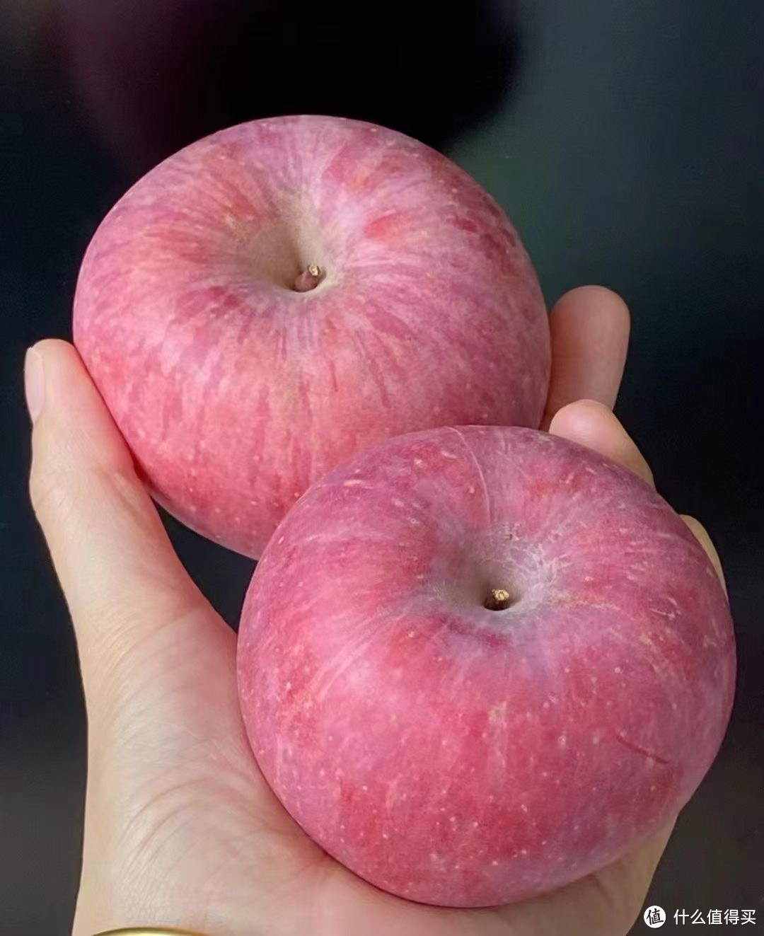 你秋天的第一口苹果吃过了么？