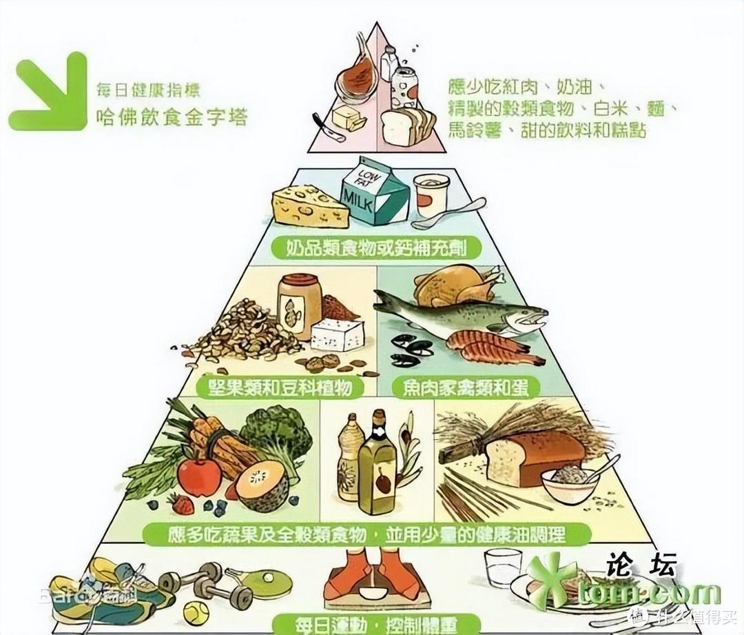 威利特健康膳食金字塔