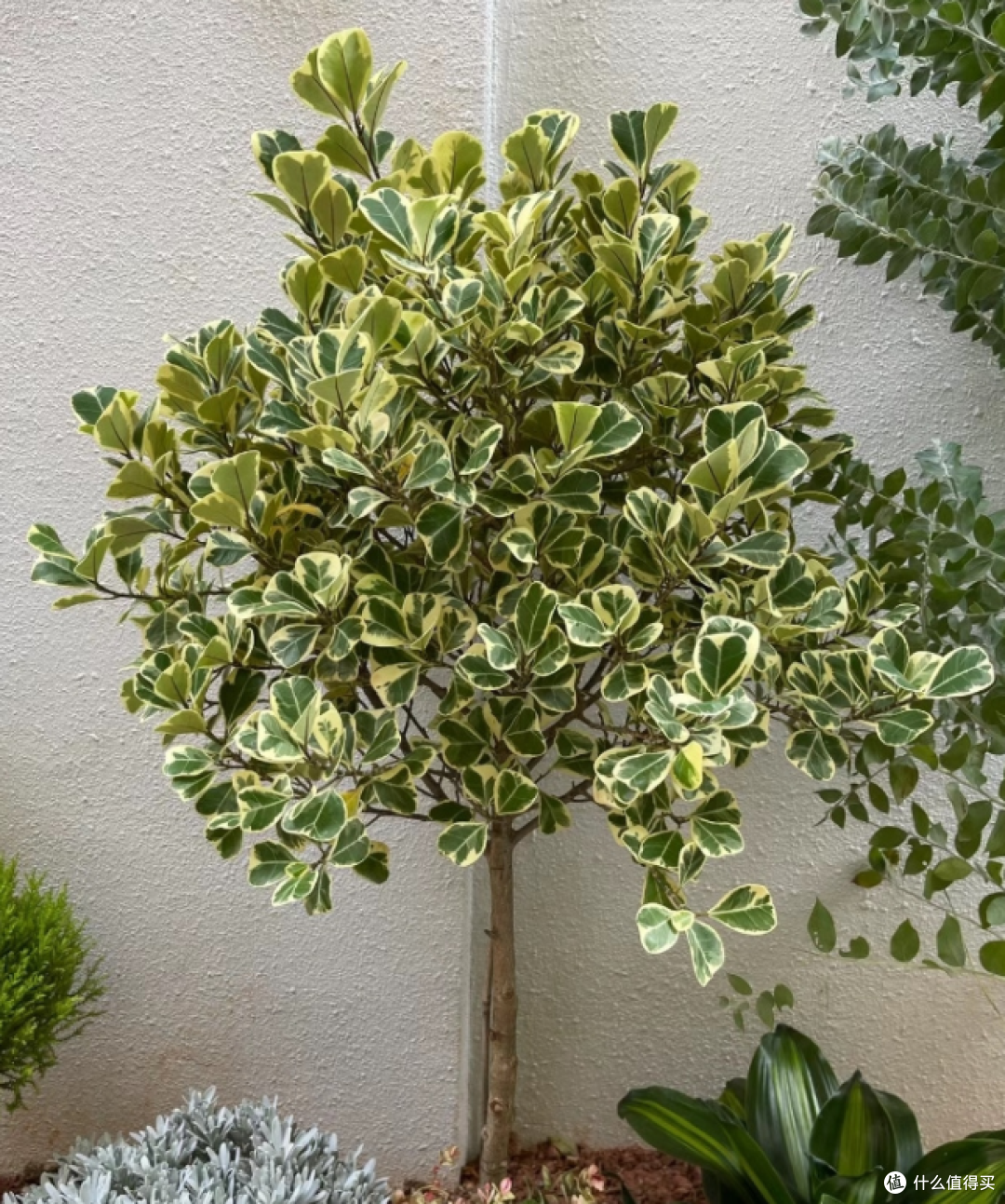 image-20231104144047957