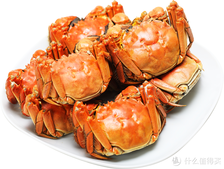 阳澄湖大闸蟹怎么做最好吃