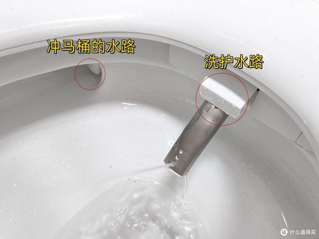 智能马桶怎么选?东芝小海豚Pro值不值得买?这篇深度测评分享告诉你答案!