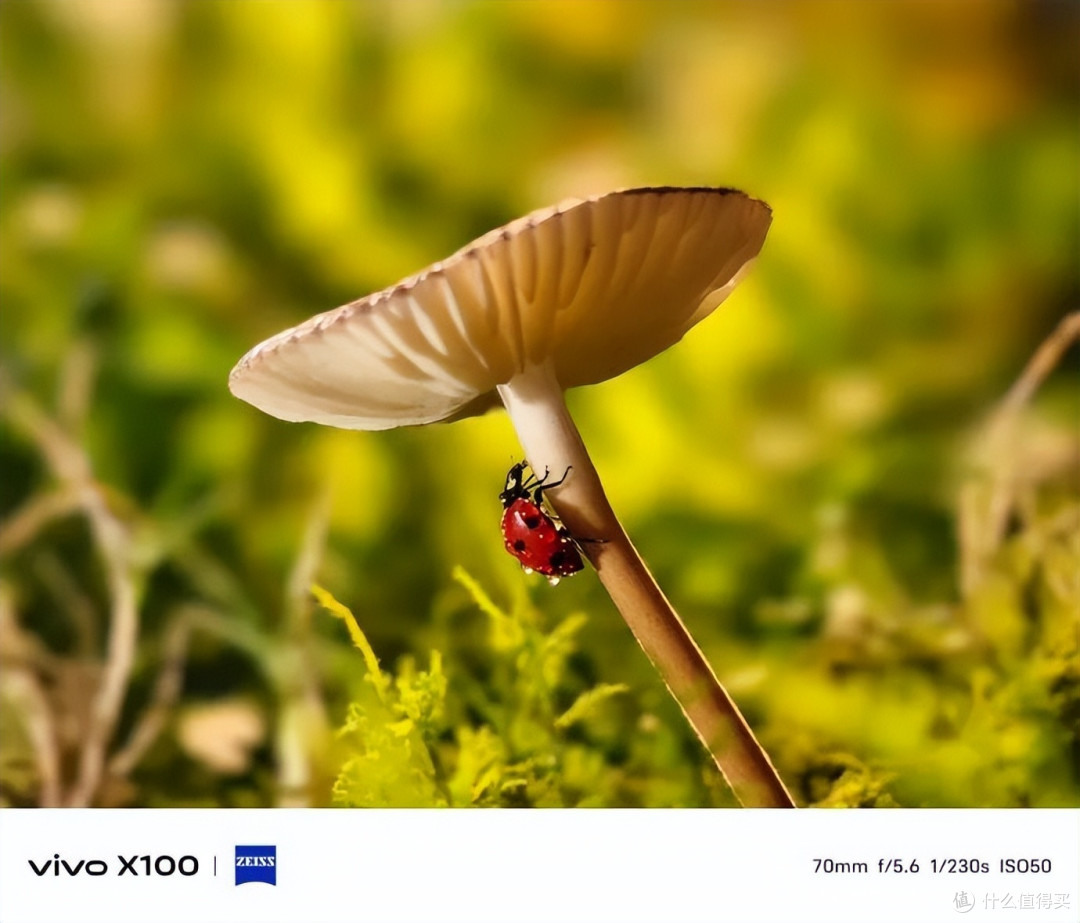 即将登场的vivoX100系列告诉你，手机影像还能这么卷