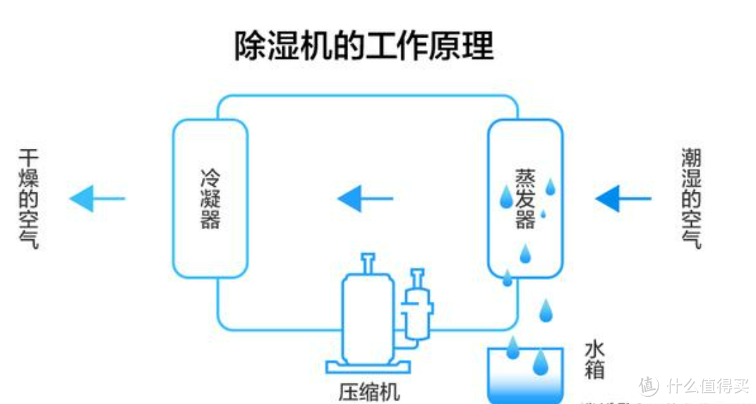 除湿机是智商税吗?美的新款除湿机才不到1千块,双十一有没有必要入手?