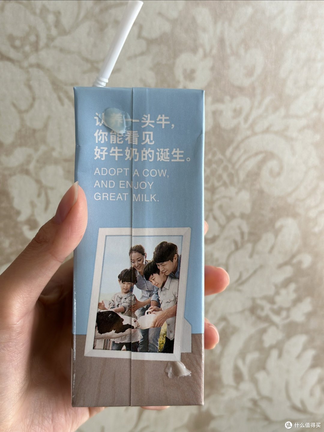 认养一头牛,享受纯正好喝的牛奶!🥛🐄