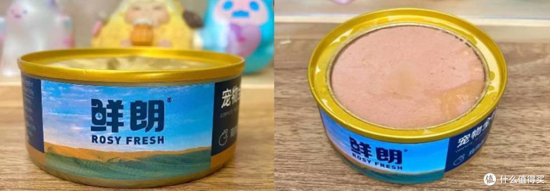 猫罐头怎么选?5款不踩雷的猫罐头推荐!