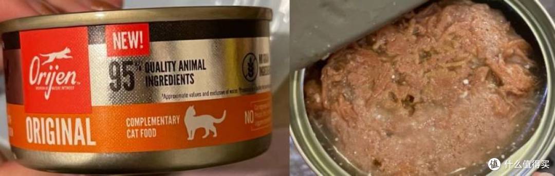 猫罐头怎么选?5款不踩雷的猫罐头推荐!