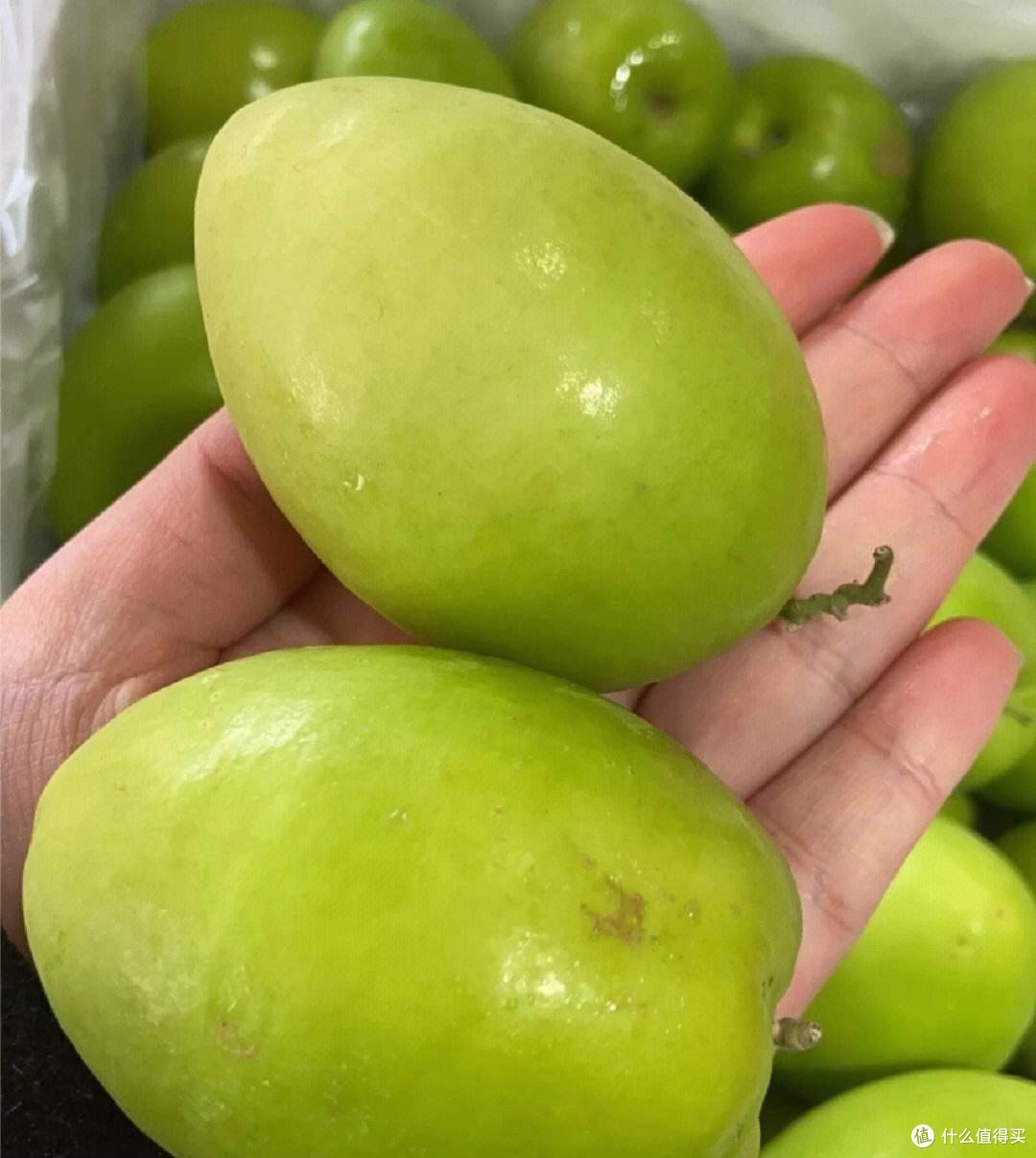 青枣如何挑选?