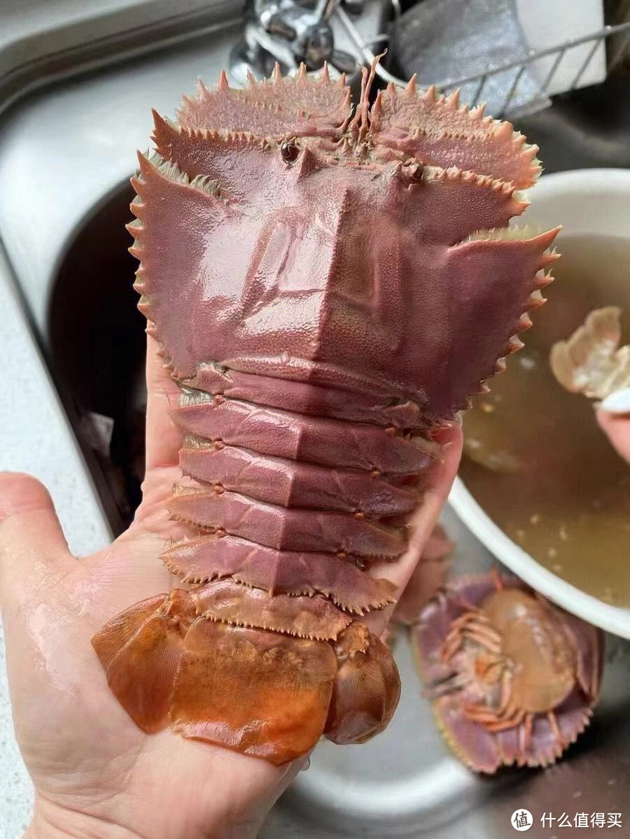 「琵琶虾」生长在深海，其肉质细嫩、味道鲜美，是海鲜中的“贵族”。