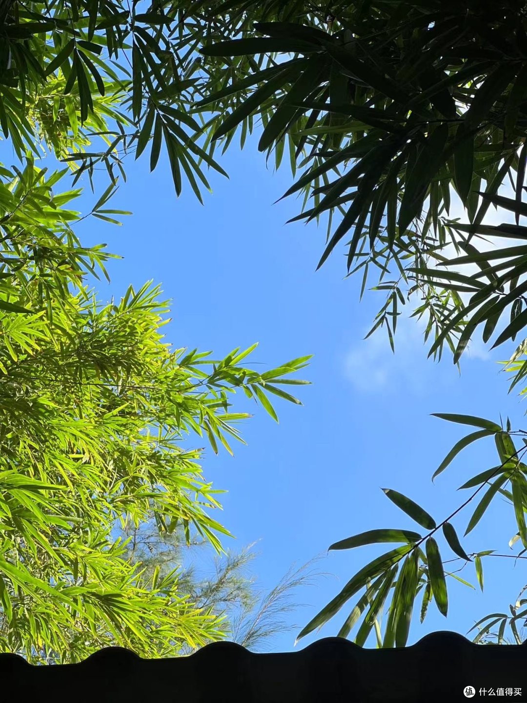 这就是大自然的温馨住所!