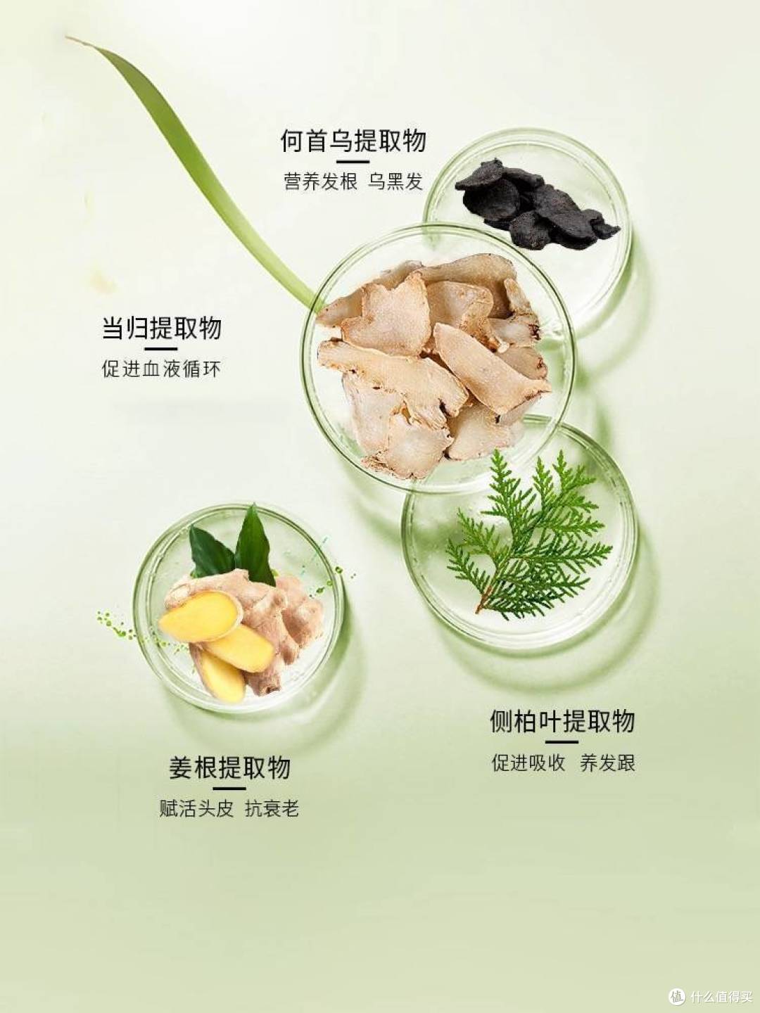焦虑脱发用什么生发防脱洗发水好?成分党来看