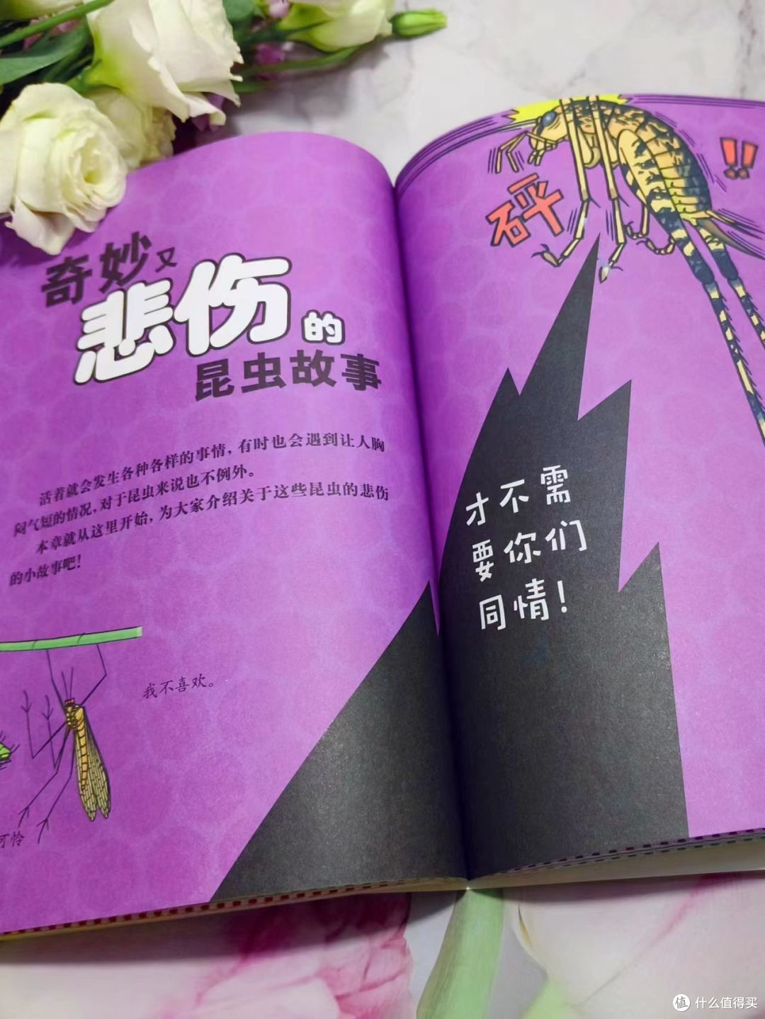 喜欢昆虫的娃,一定不要错过这本书!
