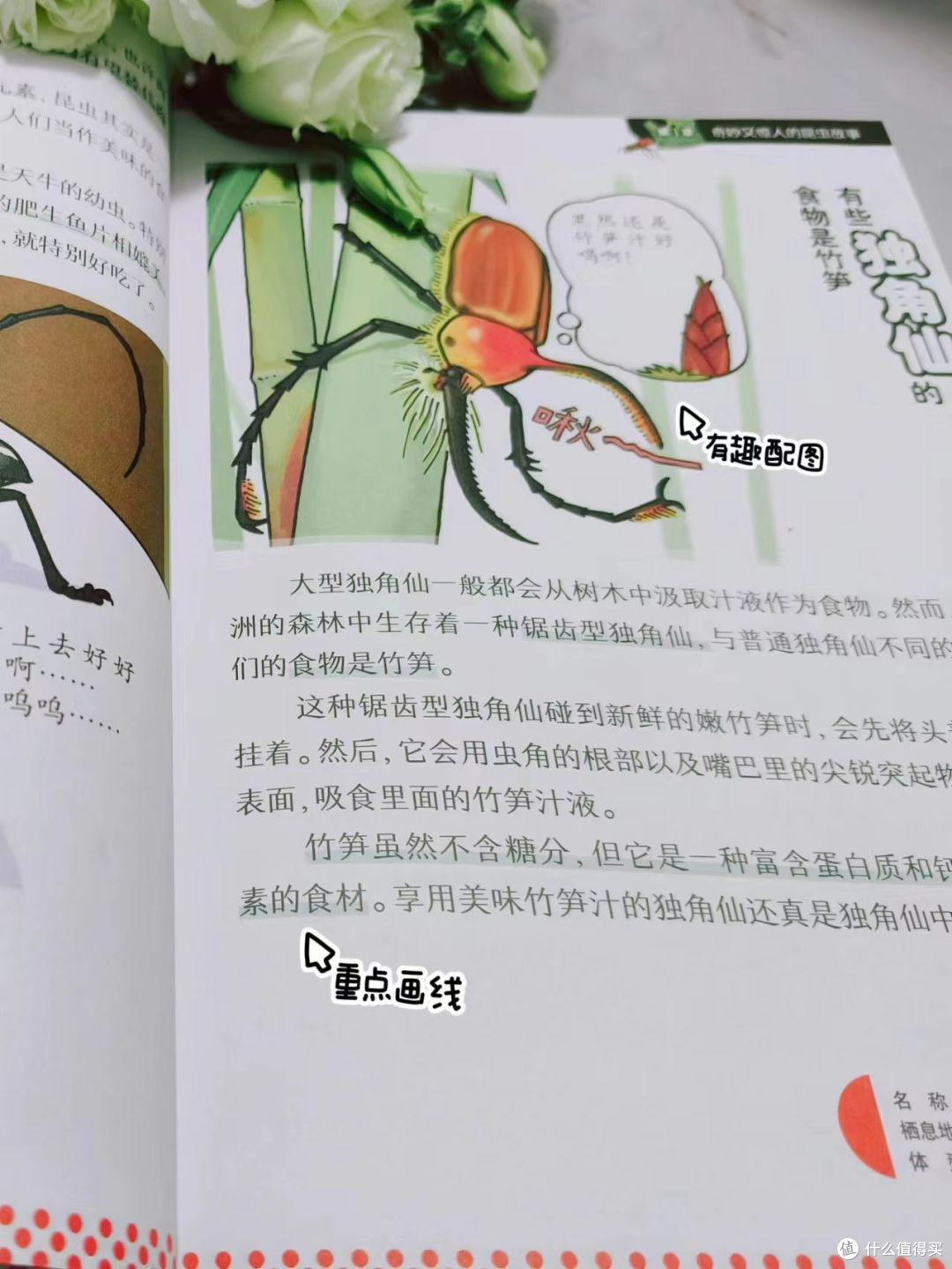 喜欢昆虫的娃,一定不要错过这本书!