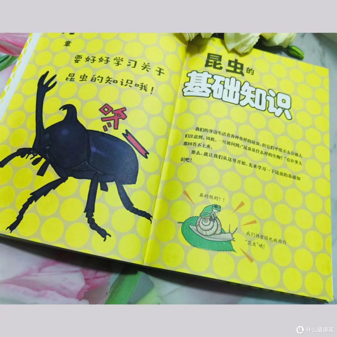 喜欢昆虫的娃,一定不要错过这本书!