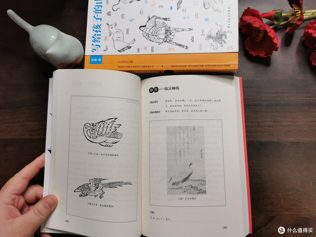 《山海经》24本16套各版本多图📚书单分享